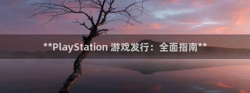 门徒娱乐创始人简介资料：**PlayStation 游戏发行：全面指南**