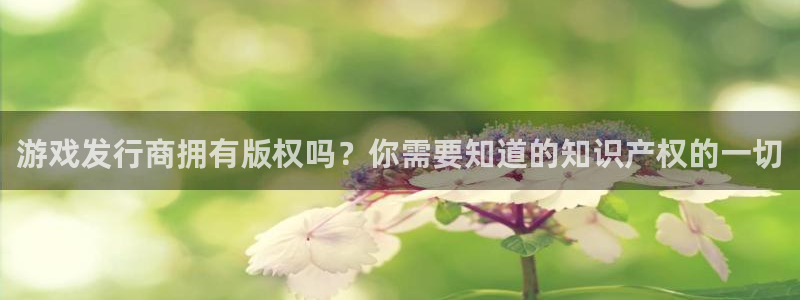 门徒娱乐提款一直处理中：游戏发行商拥有版权吗？你需要知道的知识产权的一切